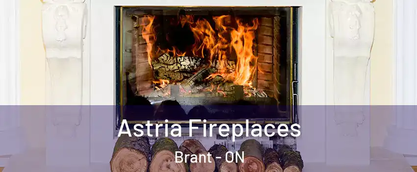  Astria Fireplaces Brant - ON