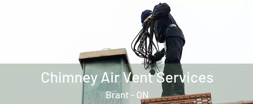 Chimney Air Vent Services Brant - ON