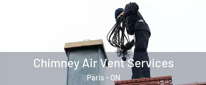 Chimney Air Vent Services Paris - ON