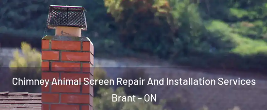  Chimney Animal Screen Repair And Installation Services Brant - ON
