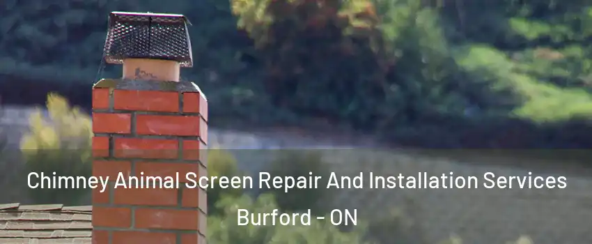 Chimney Animal Screen Repair And Installation Services Burford - ON