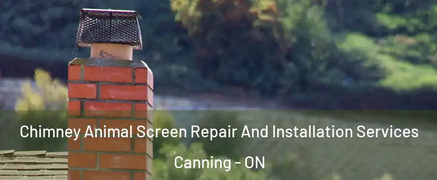 Chimney Animal Screen Repair And Installation Services Canning - ON