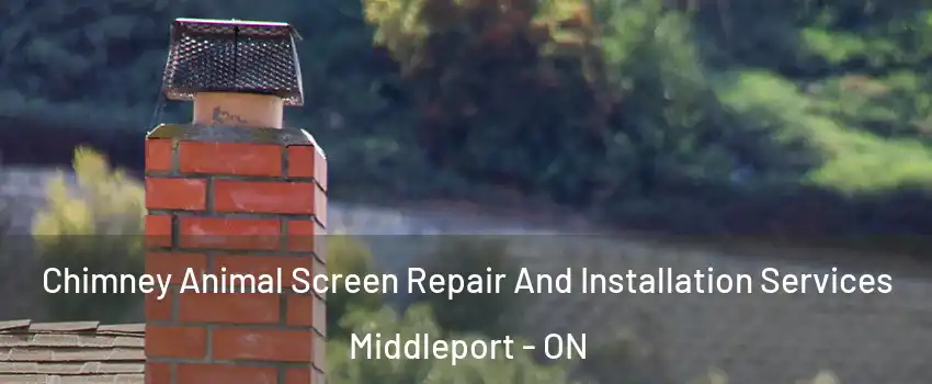  Chimney Animal Screen Repair And Installation Services Middleport - ON