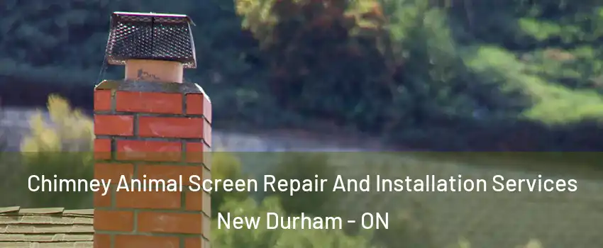  Chimney Animal Screen Repair And Installation Services New Durham - ON