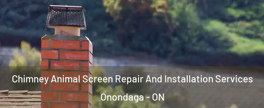  Chimney Animal Screen Repair And Installation Services Onondaga - ON