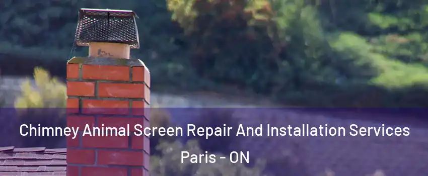 Chimney Animal Screen Repair And Installation Services Paris - ON