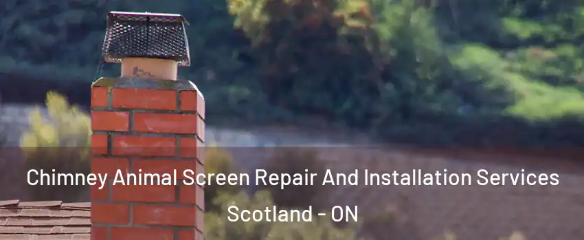  Chimney Animal Screen Repair And Installation Services Scotland - ON