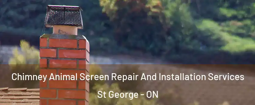  Chimney Animal Screen Repair And Installation Services St George - ON