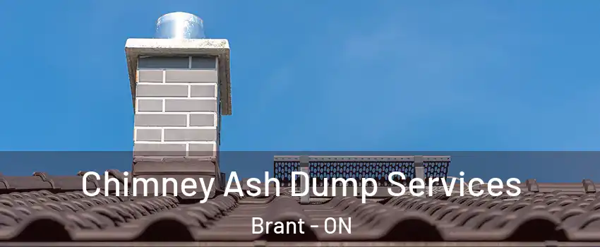  Chimney Ash Dump Services Brant - ON