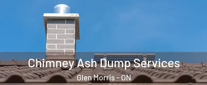  Chimney Ash Dump Services Glen Morris - ON