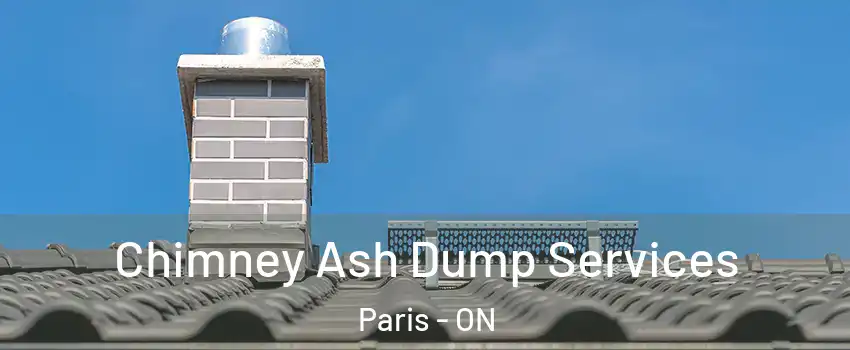 Chimney Ash Dump Services Paris - ON