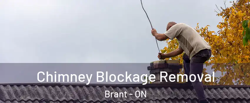  Chimney Blockage Removal Brant - ON