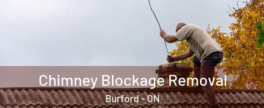 Chimney Blockage Removal Burford - ON