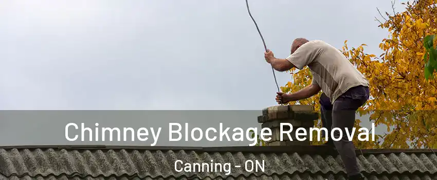  Chimney Blockage Removal Canning - ON