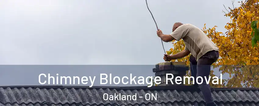 Chimney Blockage Removal Oakland - ON
