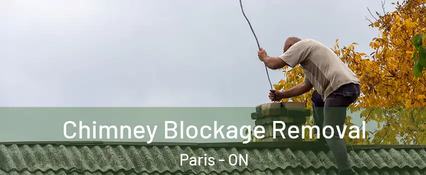  Chimney Blockage Removal Paris - ON