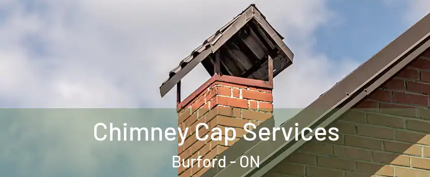 Chimney Cap Services Burford - ON