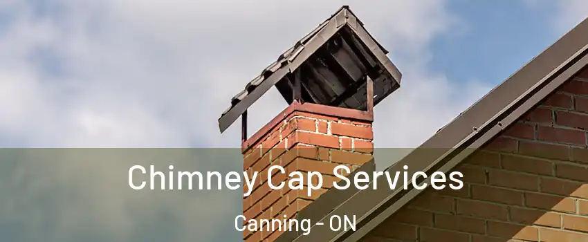 Chimney Cap Services Canning - ON