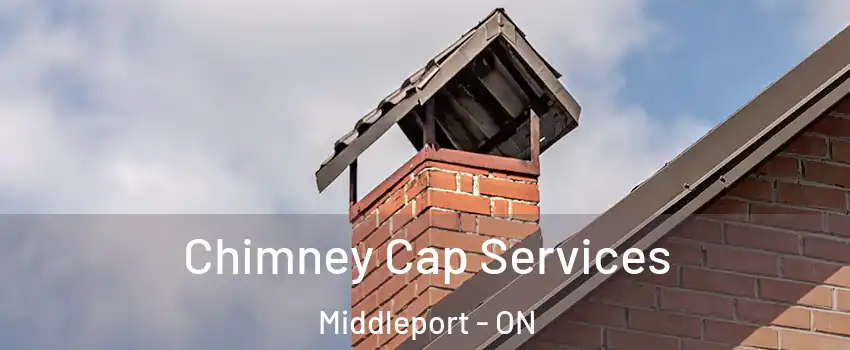 Chimney Cap Services Middleport - ON