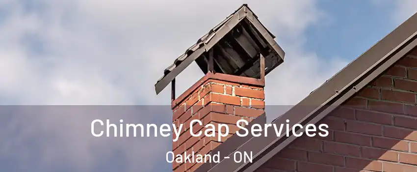 Chimney Cap Services Oakland - ON