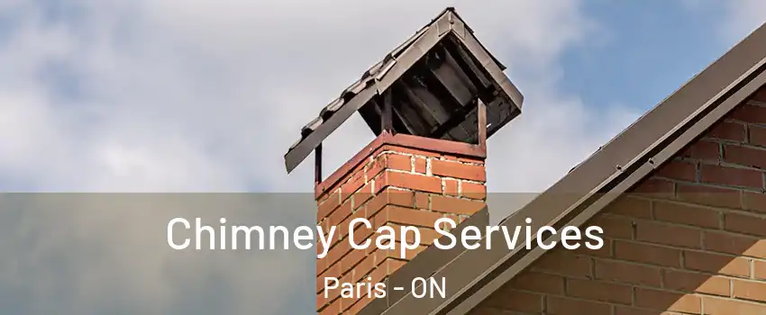 Chimney Cap Services Paris - ON