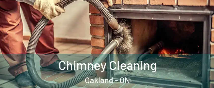  Chimney Cleaning Oakland - ON