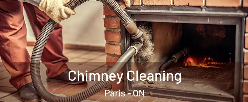 Chimney Cleaning Paris - ON