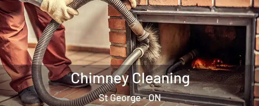  Chimney Cleaning St George - ON