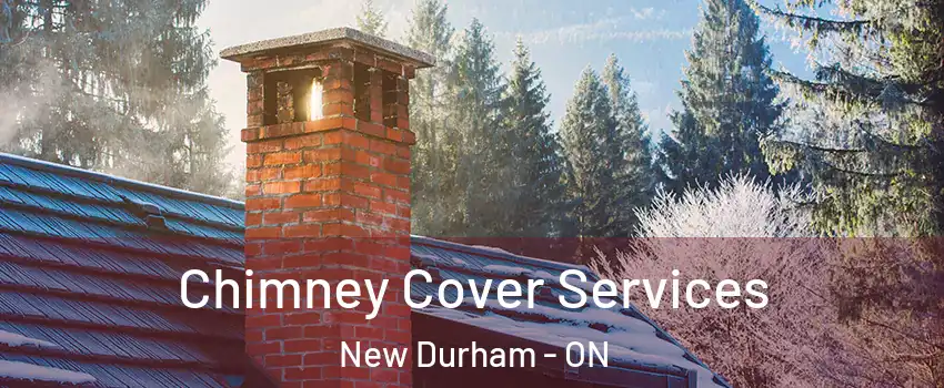 Chimney Cover Services New Durham - ON