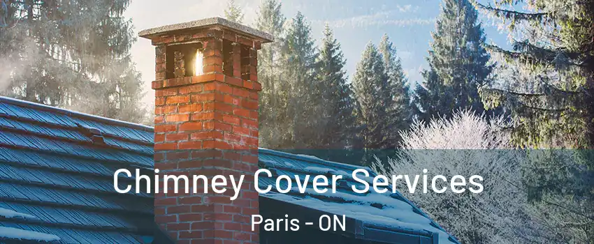  Chimney Cover Services Paris - ON