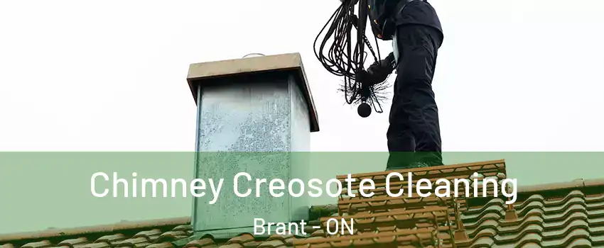  Chimney Creosote Cleaning Brant - ON