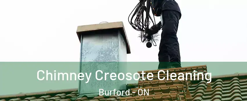 Chimney Creosote Cleaning Burford - ON