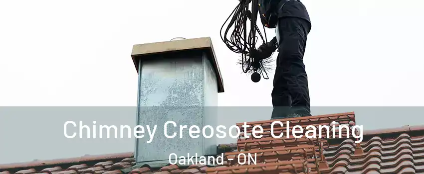 Chimney Creosote Cleaning Oakland - ON