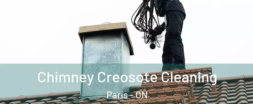  Chimney Creosote Cleaning Paris - ON