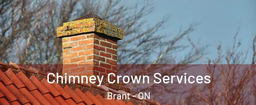  Chimney Crown Services Brant - ON