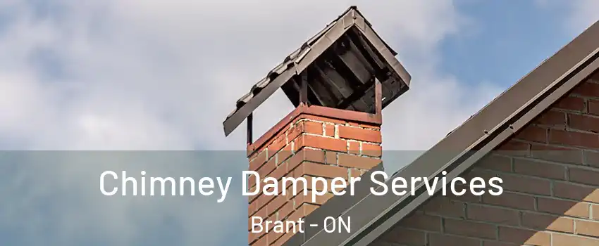  Chimney Damper Services Brant - ON