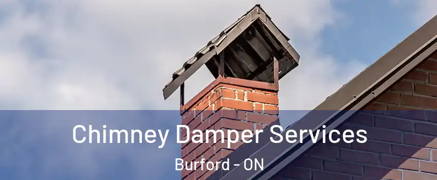  Chimney Damper Services Burford - ON