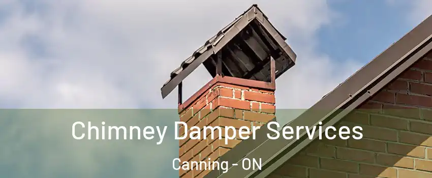  Chimney Damper Services Canning - ON