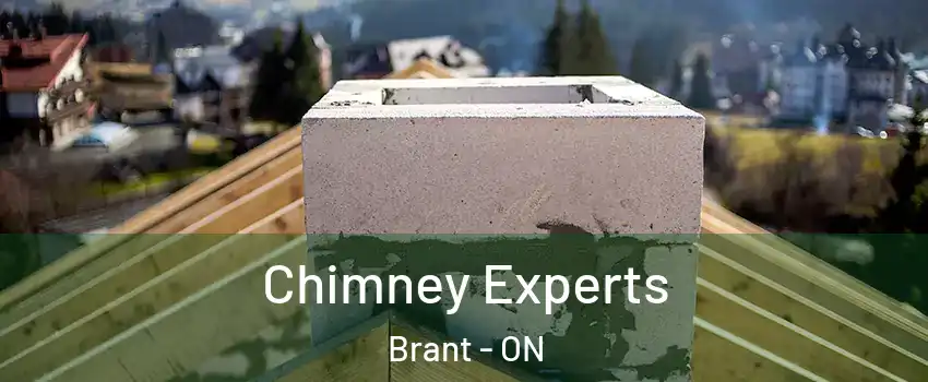  Chimney Experts Brant - ON