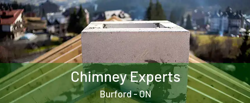  Chimney Experts Burford - ON