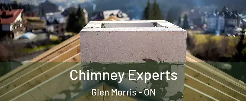Chimney Experts Glen Morris - ON