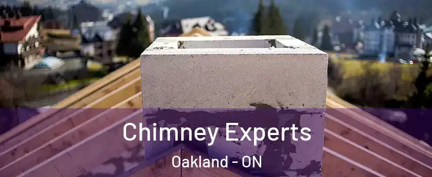 Chimney Experts Oakland - ON