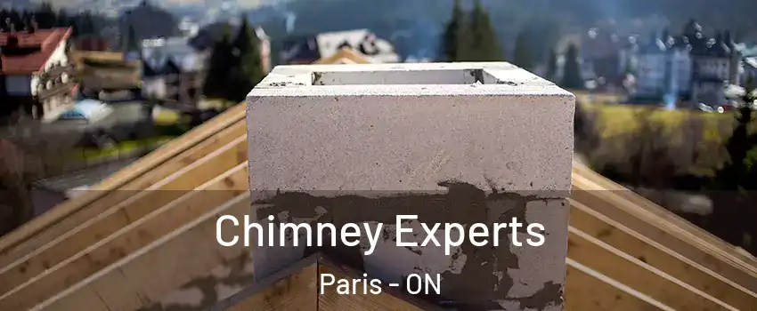 Chimney Experts Paris - ON