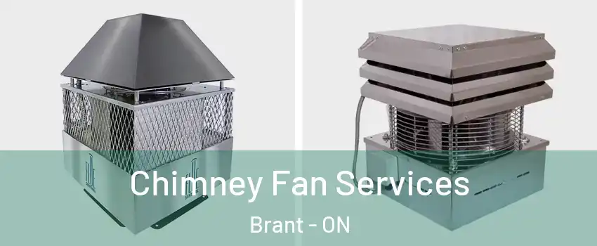  Chimney Fan Services Brant - ON