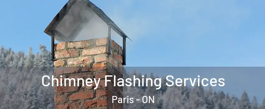  Chimney Flashing Services Paris - ON