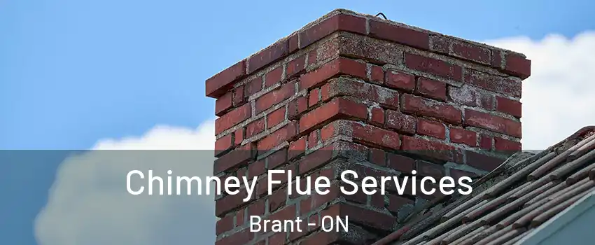  Chimney Flue Services Brant - ON