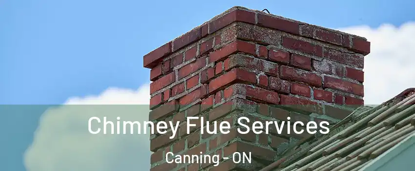  Chimney Flue Services Canning - ON