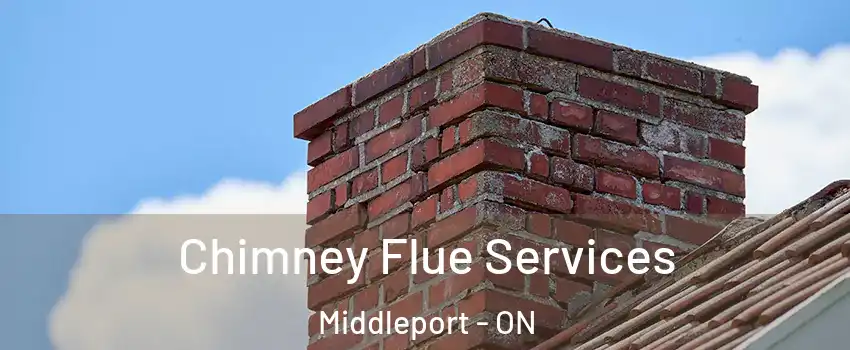 Chimney Flue Services Middleport - ON
