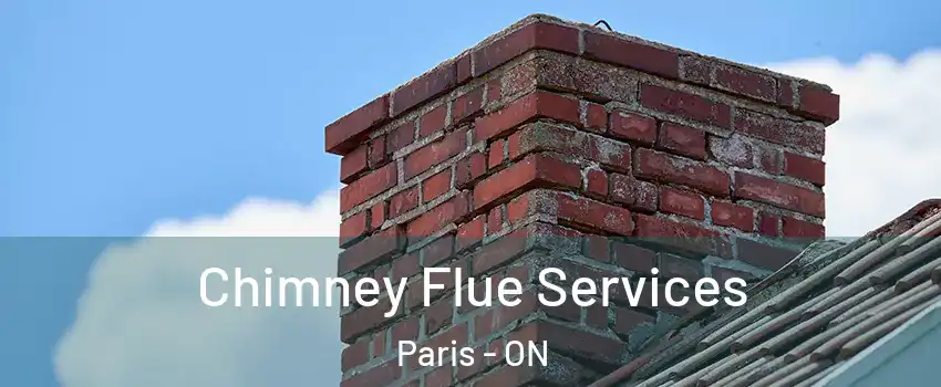  Chimney Flue Services Paris - ON
