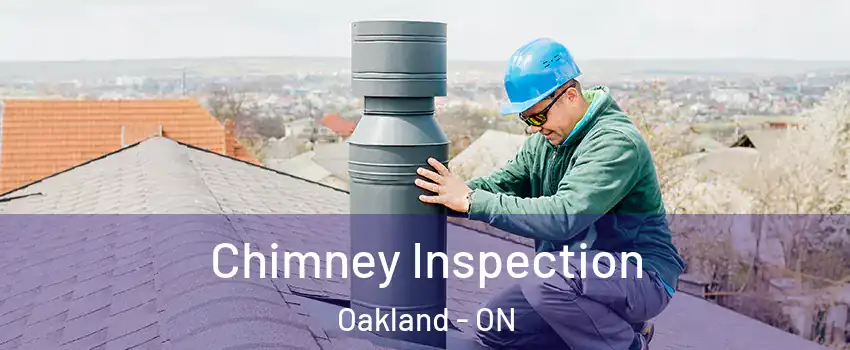  Chimney Inspection Oakland - ON